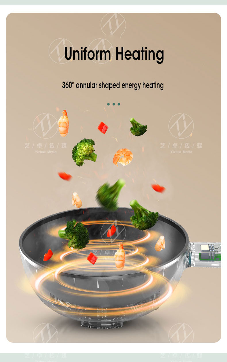 electric frying pan (11)